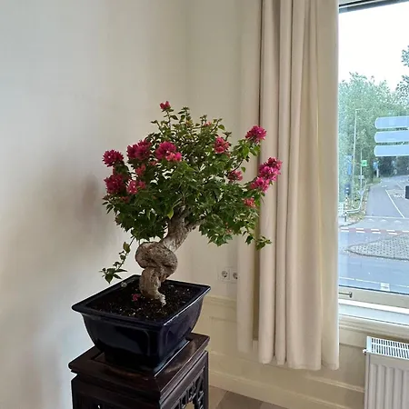 Appartamento Beautiful House In *