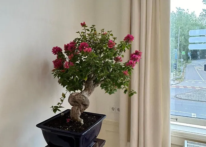 דירה Beautiful House In *